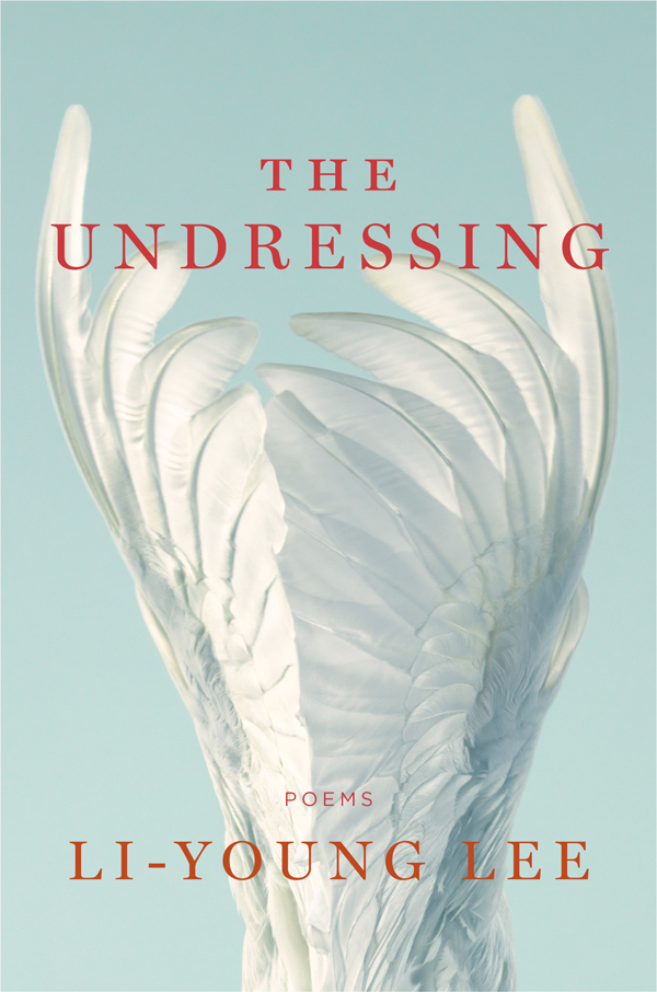 Undressing book cover