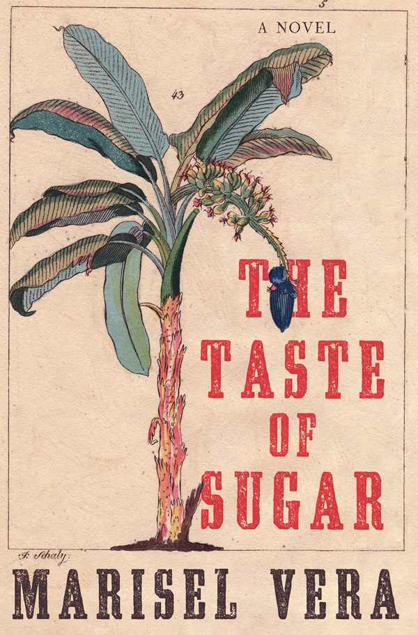 Book Cover for The Taste of Sugar